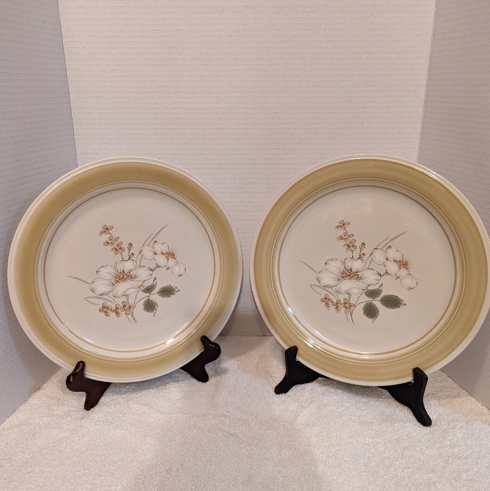 Stoneware Dinner Plates (2).  Impressions By Daniele, Country Day Pattern